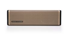 FREI TOPP TWS BLUETOOTH SPEAKER 24W GOLD